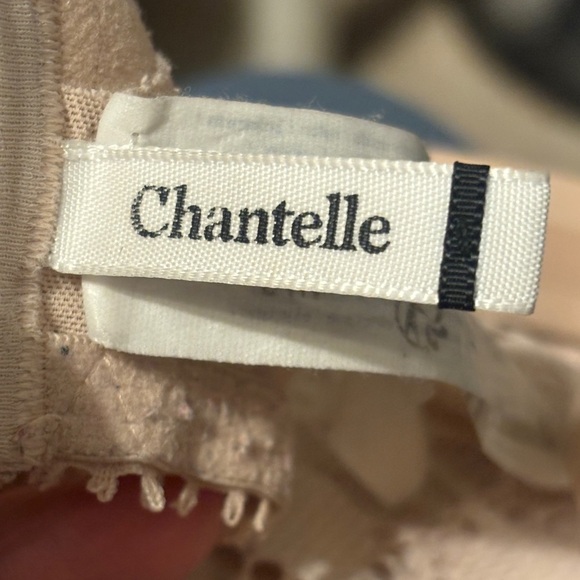 Chantelle Nude Underwire Support Lace Bra Bow Detail Size 32 DDDD - Picture 4 of 9